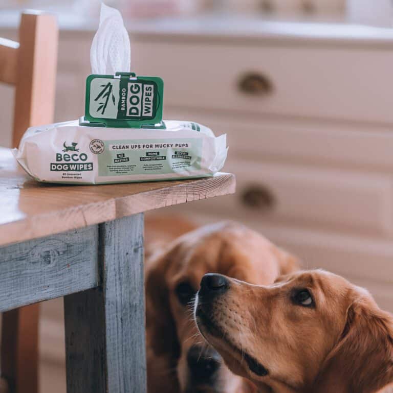 Beco Bamboo Dog Wipes Unscented 80 stuks | Plasticvrij & zacht