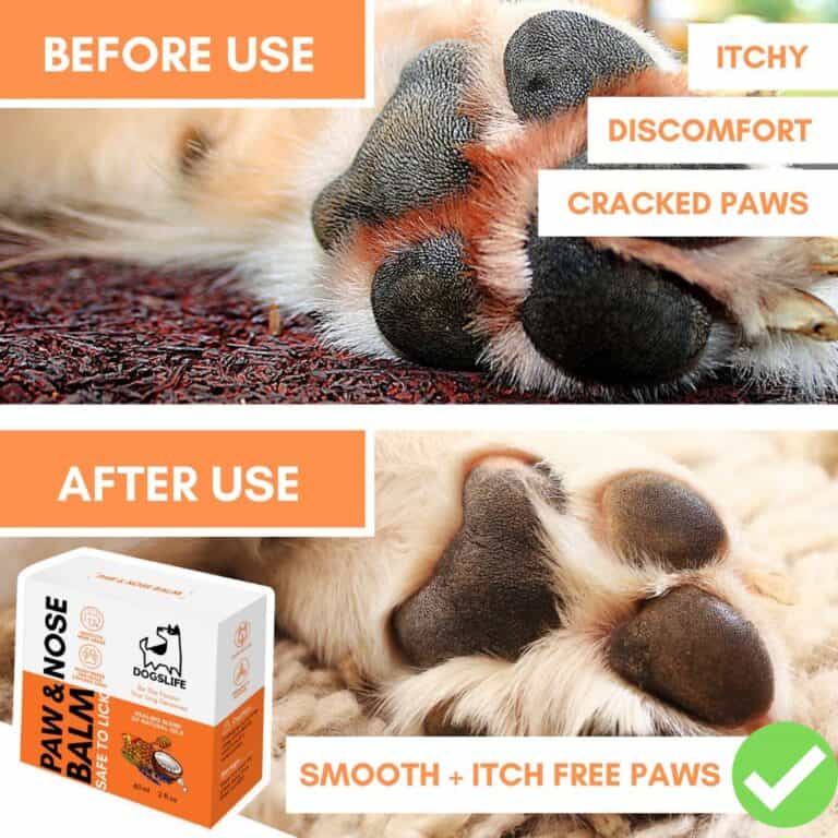 DogsLife Paw & Nose Balm | Verzorging voor pootjes en neus