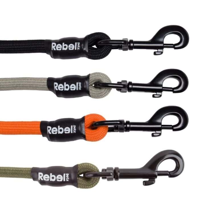 Basic Leash Zwart / Large - 12 mm x 140 cm