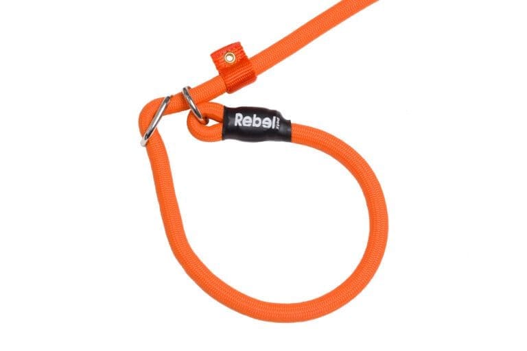 Training Leash Oranje / Large - 12 mm x 140 cm