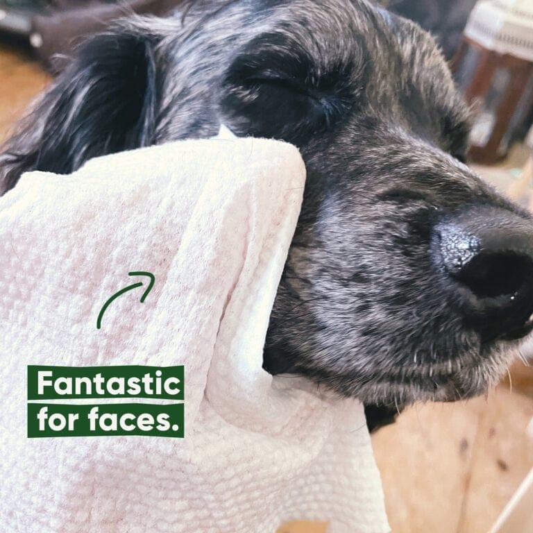 Beco Bamboo Dog Wipes Unscented 80 stuks | Plasticvrij & zacht