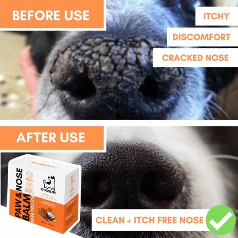 DogsLife Paw & Nose Balm | Verzorging voor pootjes en neus