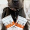 DogsLife Dental Wipes | Gebitsreiniging voor hond en kat