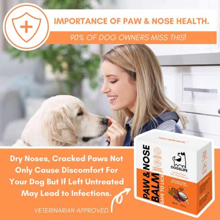 DogsLife Paw & Nose Balm | Verzorging voor pootjes en neus