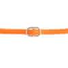 Training Leash Oranje / Small - 8 mm x 140 cm