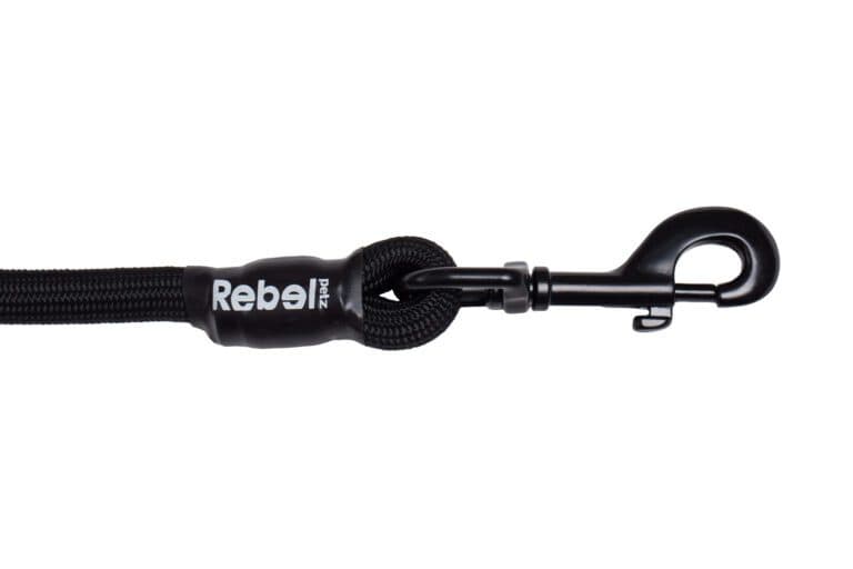 Basic Leash Zwart / Large - 12 mm x 140 cm