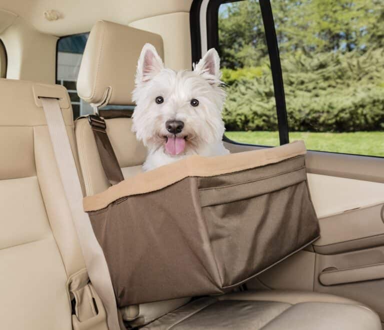 Happy Ride Booster Seat Small - (36x31x20cm) < 5kg