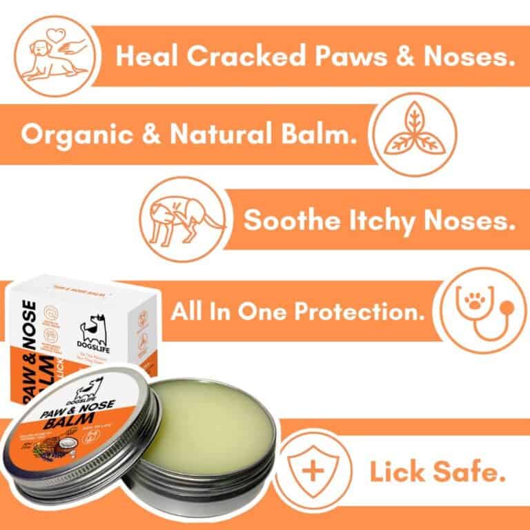 DogsLife Paw & Nose Balm | Verzorging voor pootjes en neus