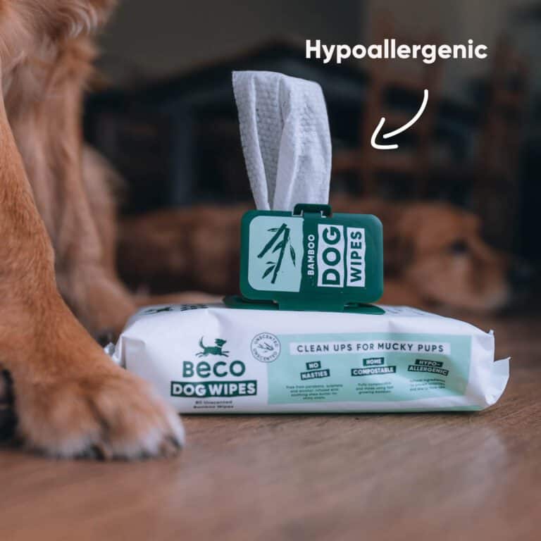 Beco Bamboo Dog Wipes Unscented 80 stuks | Plasticvrij & zacht