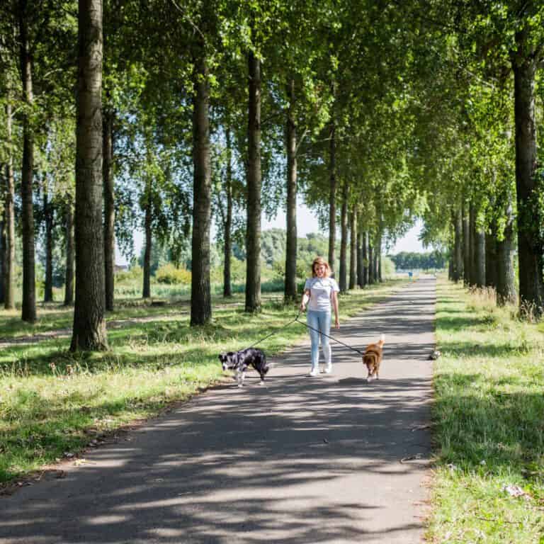 Adjustable Double Dog Leash Small (140 cm. Ø 8 mm)