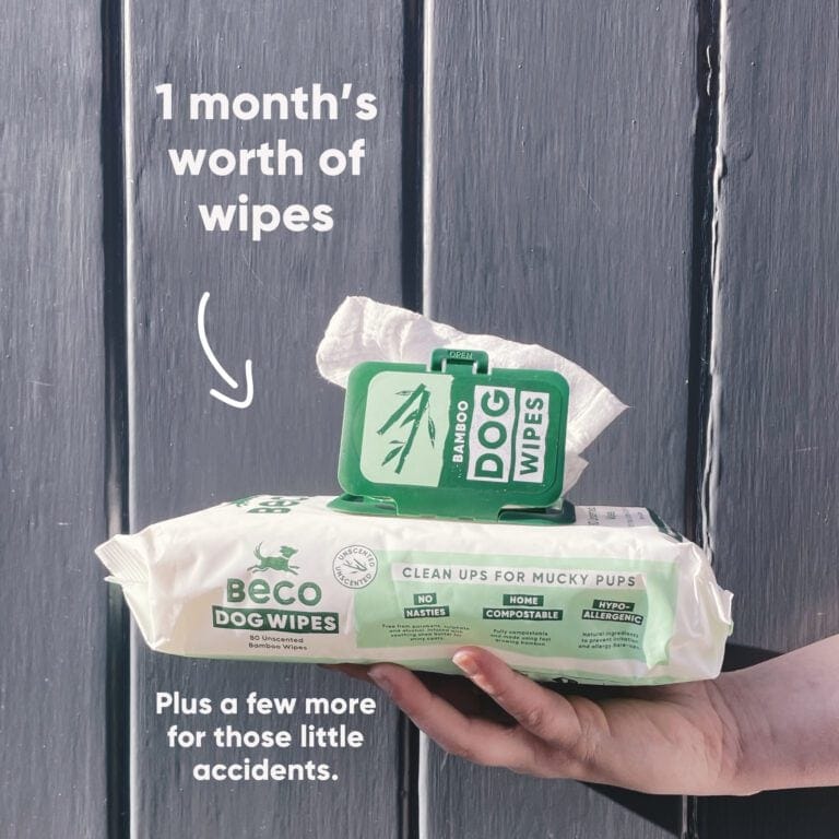 Beco Bamboo Dog Wipes Unscented 80 stuks | Plasticvrij & zacht