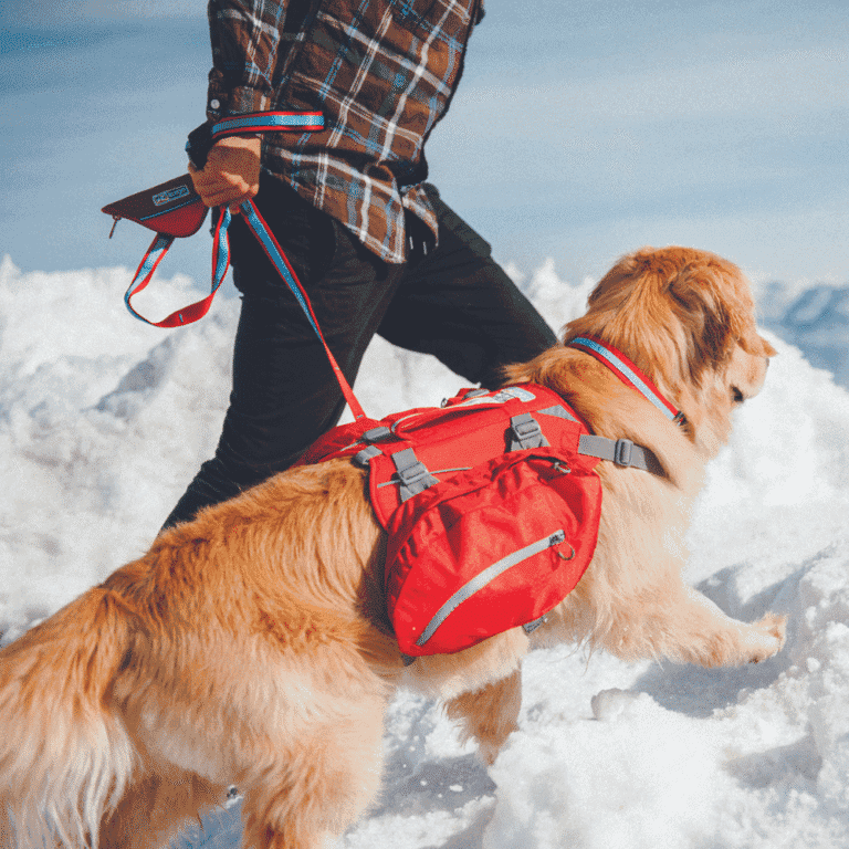 7.png Big Baxter Backpack
