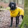 Stream Raincoat Maat 50