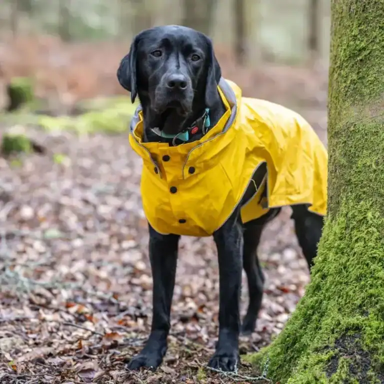 Stream Raincoat Maat 50