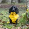 Stream Raincoat Maat 50