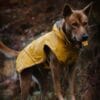Stream Raincoat Maat 50