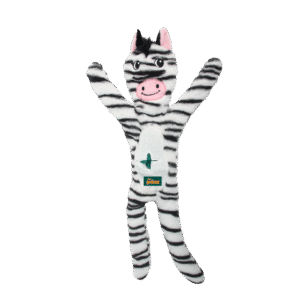 AFP Safari - Jungle Zebra