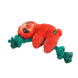 AFP Safari - Rope Cuddle Bradypod