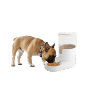 AFP Lifestyle 4 Pets Gravity Pet Food Feeder