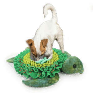 AFP  Dig It - Treat Mat Sea turtle
