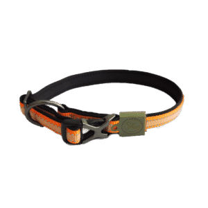 AFP Off Street - Dog Collar Tangarine S