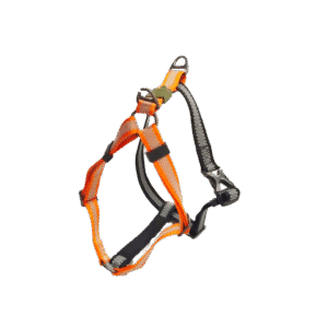 AFP Off Street - Dog Non-Pull Harness Tangarine M