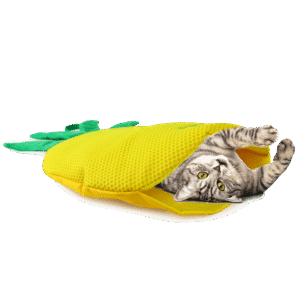 AFP Green Rush - Play Mat Pineapple