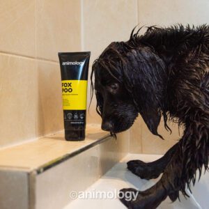 Animology Fox Poo Dog Shampoo 250 ml