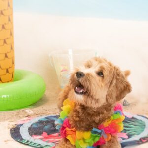 CoolPets Tropical Premium Cooling Mat Flower