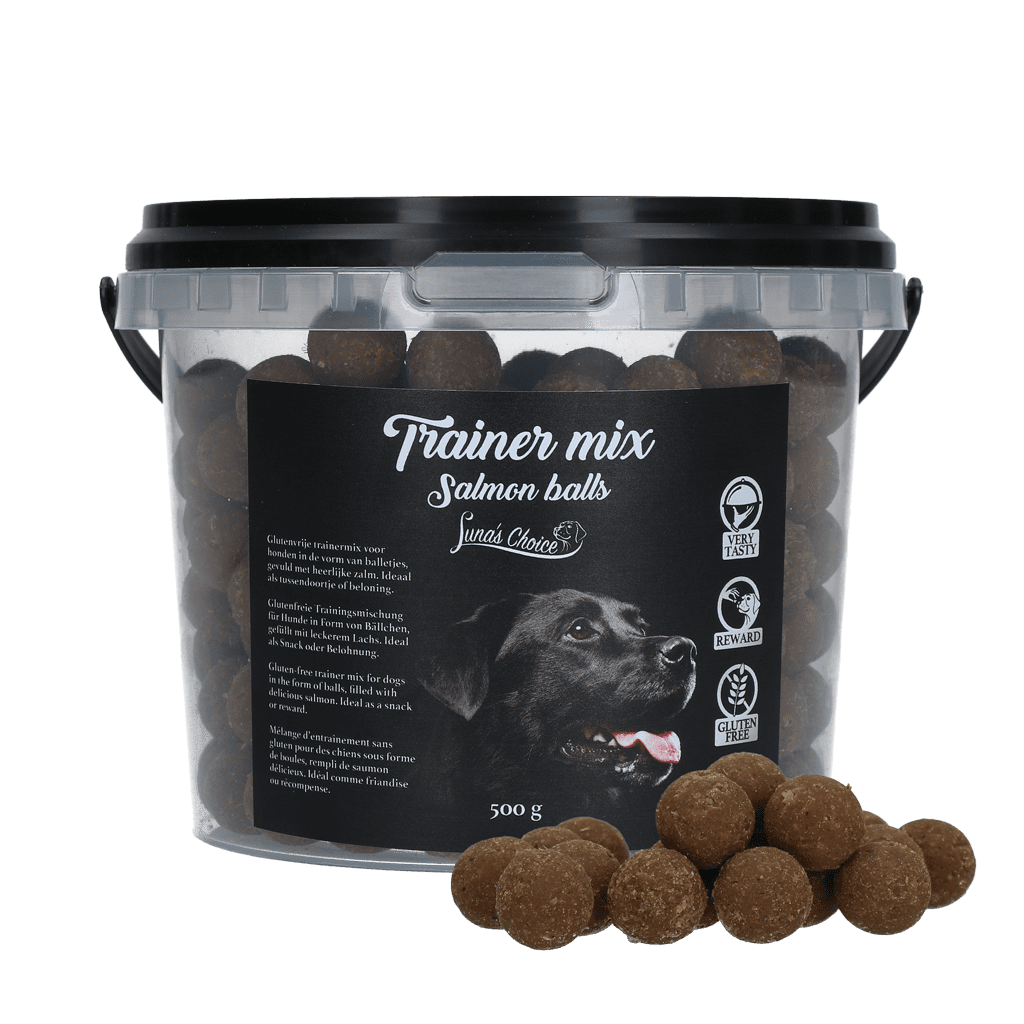 Luna's Choice Trainer Mix Salmon Balls (gluten-free)