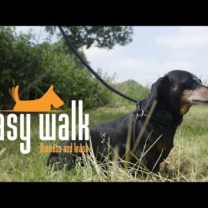 Easy Walk Handheld Black