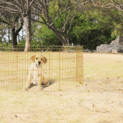 Pawise Dog Play Pen L