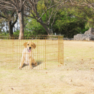 Pawise Dog Play Pen S
