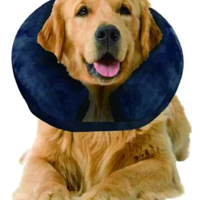 Pawise Opblaasbare Beschermkraag voor Honden