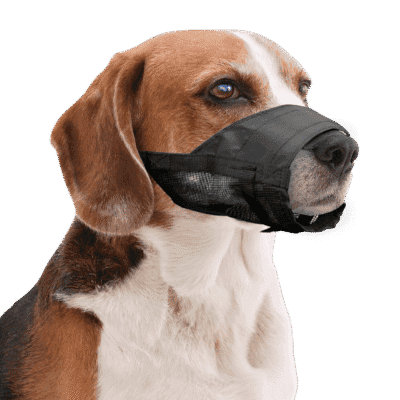 Pawise Adjustable Nylon Muzzle S