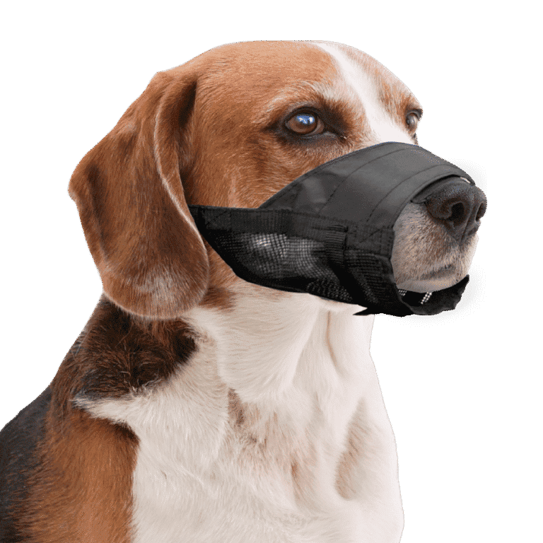 Pawise Adjustable Nylon Muzzle M
