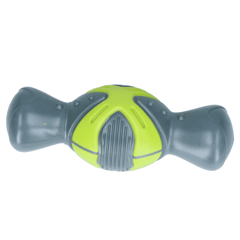 Pawise Play Time Squeaky Bone