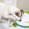 Pawise Dog training toy - Level 2 Spinning Feeder