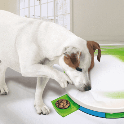 Pawise Dog training toy - Level 2 Spinning Feeder