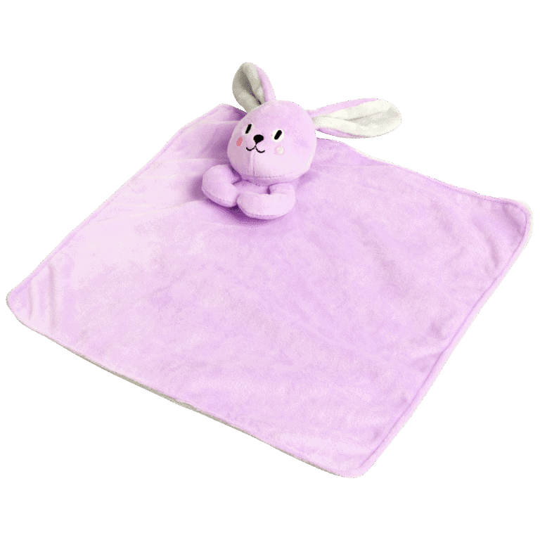 Pawise Puppy Life Blanket Toy