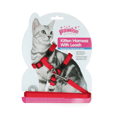 Pawise Kitten Harness With Leash Red/Blue S