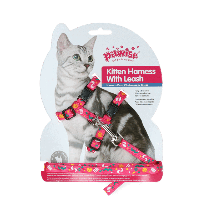 Pawise Kitten Tuigje met Leiband Roze/Paars