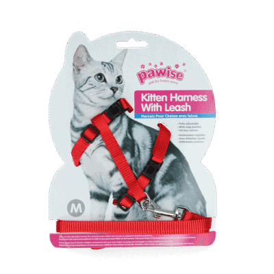 Pawise Kitten Harness With Leash Red/Blue M