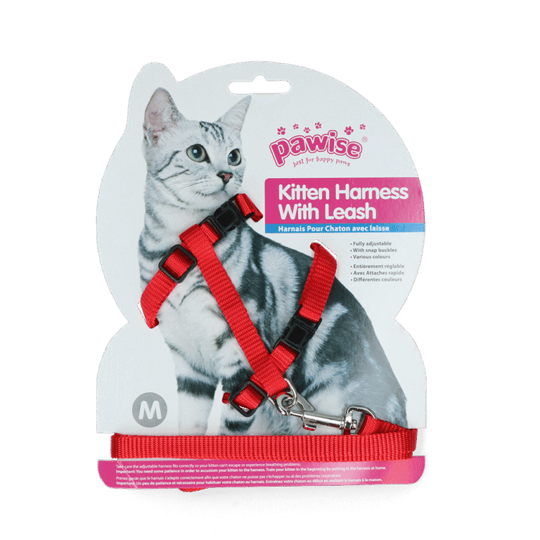 Pawise Kitten Harness With Leash Red/Blue M