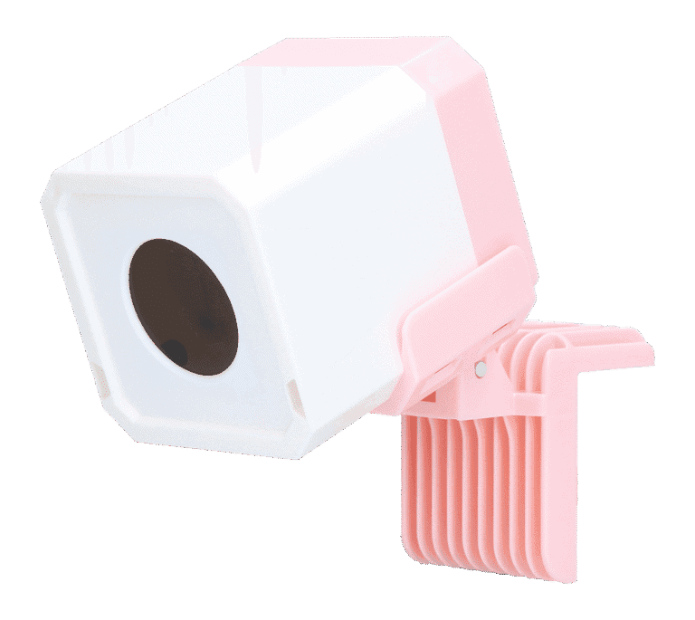 Pawise Automatic Laser toy