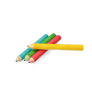 Pawise Play Time Small Pet Potlood
