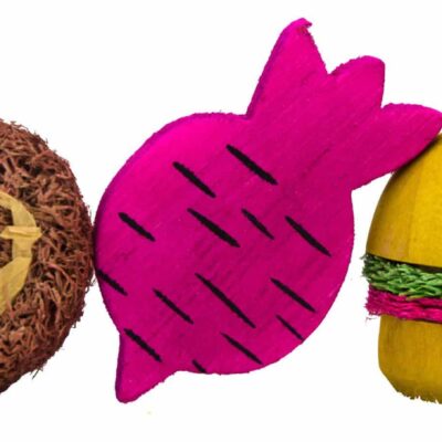 Pawise Wooden Loofah Pretty Toys No2