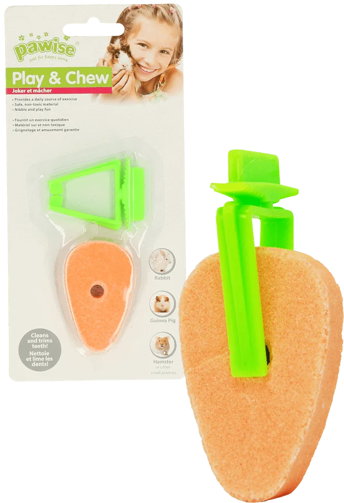 PAWI39133.png Pawise Play & Chew Salt Carrot