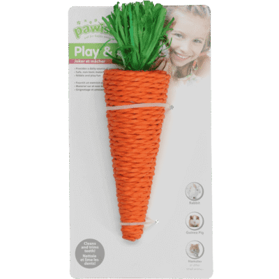 Pawise Play & Chew Carrot