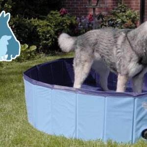 CoolPets Splash Dog Pool ø 80 x 20 cm